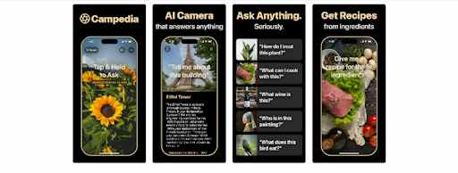 Campedia: AI Camera That Answers Any Question.