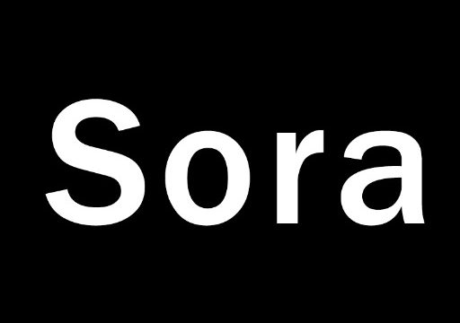 Sora AI Prompt-Video Script