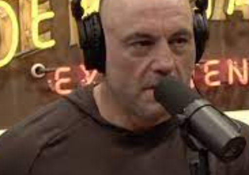 Joe Rogan AI