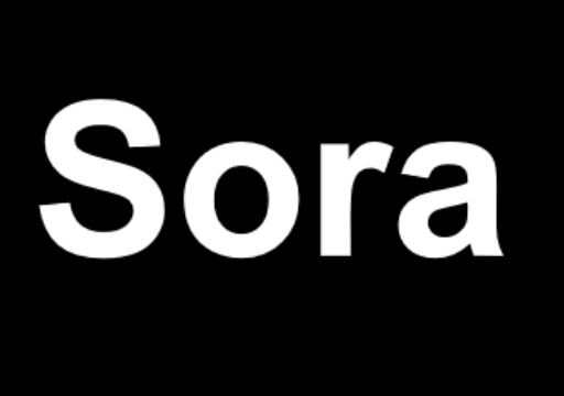 のSora Official Guidance Expert