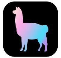 LlamaIndex